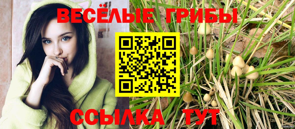 Томск  Галлюциногенные грибы ЛСД  Вход с VPN 