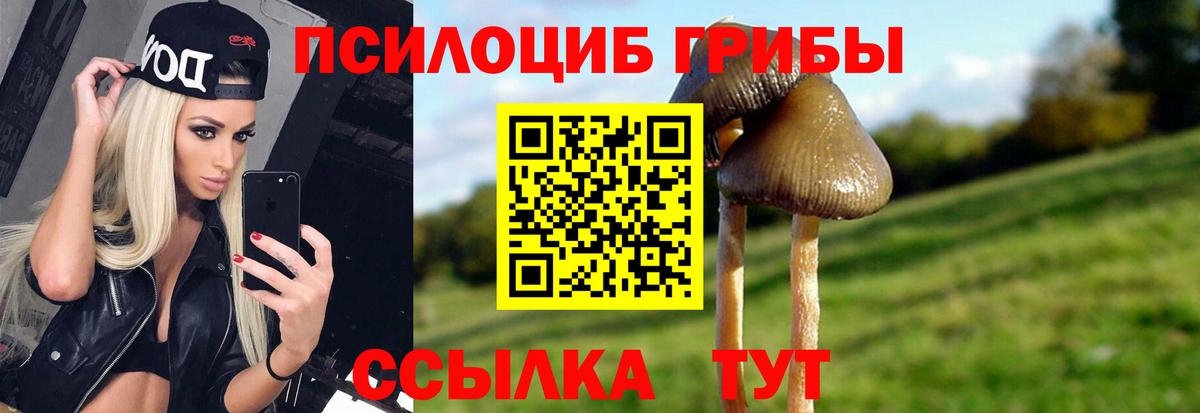 Псилоцибиновые грибы Magic Shrooms Томск